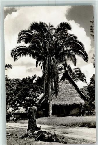 Pucallpa Yarinacocha Instituts für Linguistik