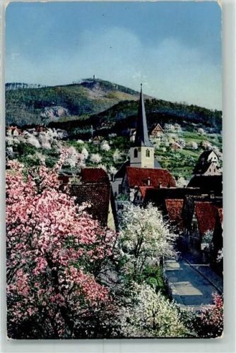 Alsbach Melibokus Baumblüte