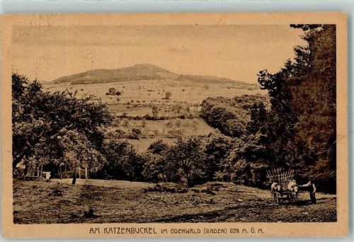 Waldkatzenbach