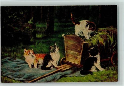 Nr. 1334 von Kögl - Vier spielende Katzen AK