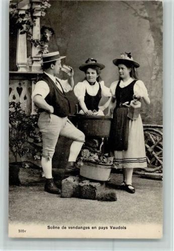 1908 Scene de vendanges en pays Vaudois AK Erntezeit beim Wein - Gute Erhaltung