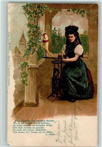 1902 Trachten , Gedicht - gute Erhaltung - Verlag Heinicke AK