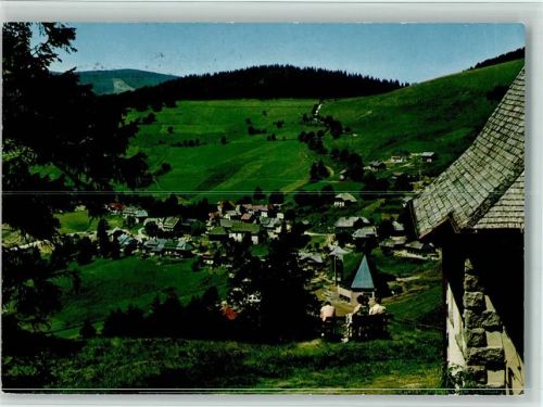79674 W7868 Todtnauberg - Bergwiesen