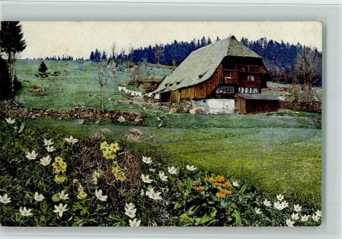 Triberg Serie 167 Nr. 2989, Schwarzwaldhaus, gute Erhaltung AK