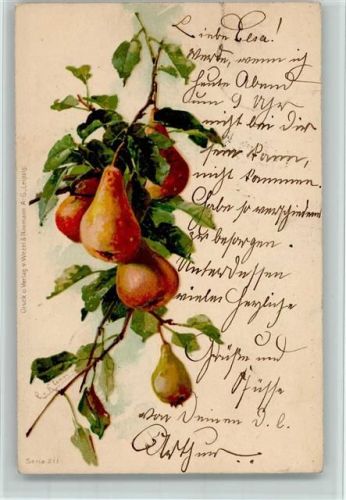 1903 sign C. Klein Verlag Wezel & Naumann Serie 211 - Birnen AK