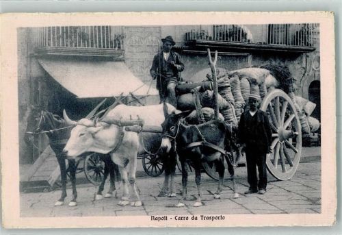 Napoli 1914 Carro da Trasporto Gezogen von Pferd Ochse Muli