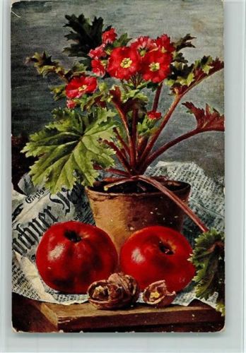 Früchte, Blumentopf ca 1905 AK