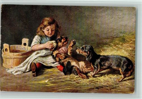 Hundekarren - Werbung - Poudres a polir Wernle" Nr. 52 AK Gute Erhaltung