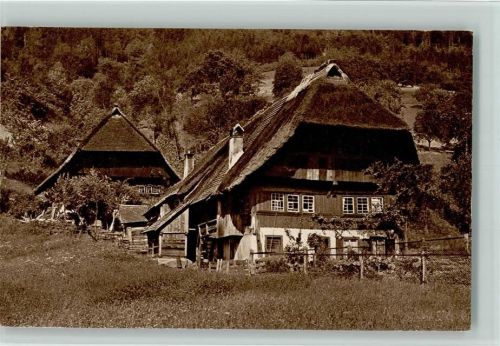 1914 Verlag Franz Walter Serie 501-4 - Bauernhaus