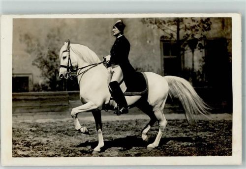1930 Piaffe Foto AK