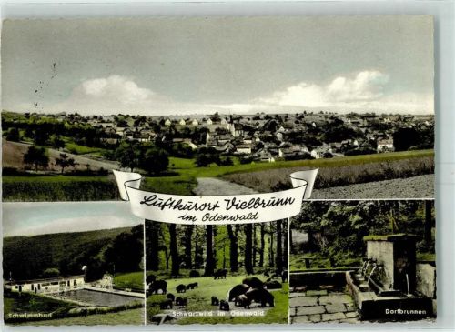 Vielbrunn Schwimmbad Schwarzwild im Odenwald Dorfbrunnen