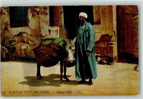 Kairo 1910 Cabbage Seller Marchant de Legumes Ort lt. Stempel