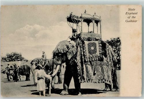 State Elephant of the Gaikwar Indien Tracht