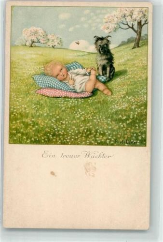 Ein reuer Wächter Baby Kissen Wiese Hund Nr 1356