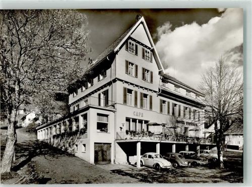 Todtnauberg Hotel Sternen VW Käfer Auto