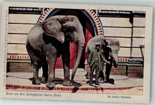 Naturaufnahmen Rotophot Zoo Berlin Pfleger