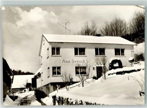 Grasellenbach Pension Haus Sonneck Winter