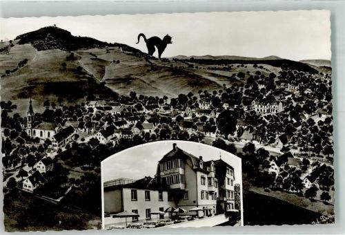 Waldkatzenbach 1963 Gasthaus Pension Katzenbuckel Katze
