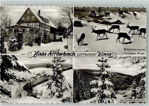 Zinse Pension Afflerbach Wildfütterung Winter