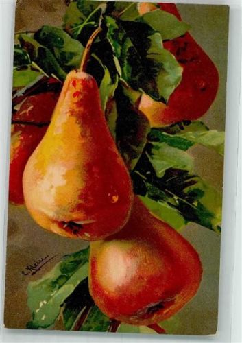 1917 Birnen Wenau-Pastell No. 536