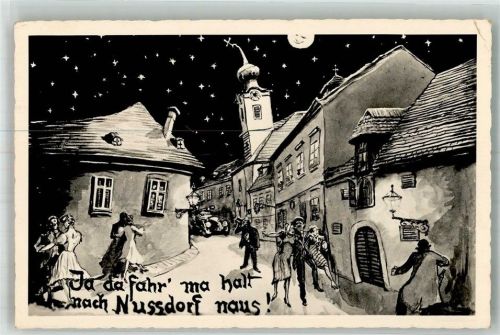 1190 Wien 19. Bezirk, Döbling 1934 Mondschein Humor Nussdorf Nacht