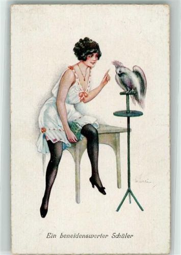Erotik Frau im Negligee - beneidenswerter Schüler