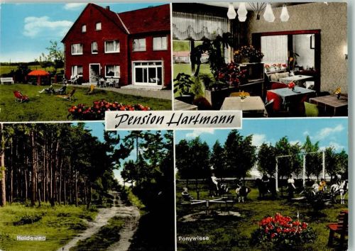 49196 W4518 Hardensetten - Pension Hartmann Heideweg Ponywiese