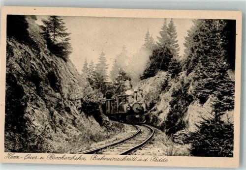 Brockenbahn Bahneinschnitt a.d. Padde