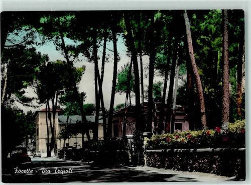 Focette Via Tripoli