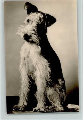 Foto 1963 AK