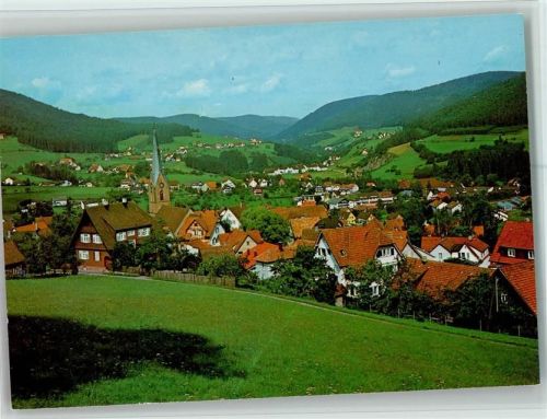 Baiersbronn Ortsansicht