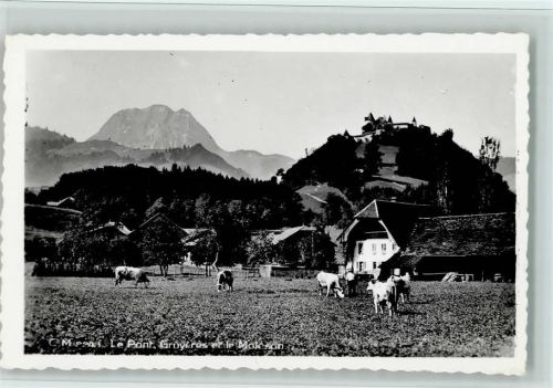 Gruyères Le Pont Lo Moléson