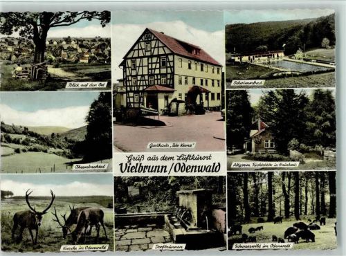 Vielbrunn Hirsche Gasthaus Zur Krone Ohrenbachtal Dorfbrunnen Schwimmbad Altger. Richtstätte in Hainhaus SChwarzwild