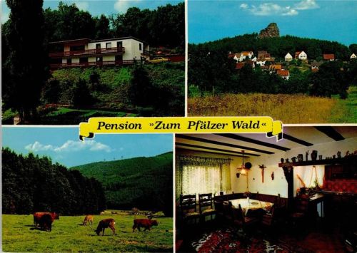Gossersweiler-Stein Pension Zum Pfälzer Wald Innenaufnahme Kühe Ortsansicht 4-Bildaufnahme