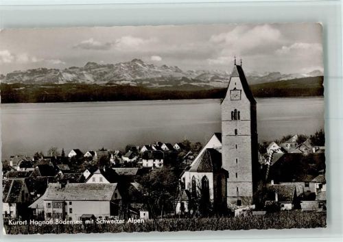 Hagnau Ortsansicht mit Schweizer Alpen