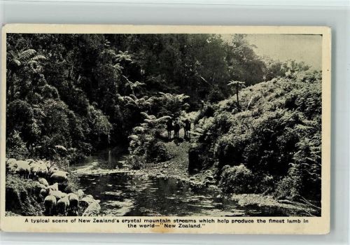 A typical scene of New Zealand's crystal mountain streams which help produce the finest lamb in the World
