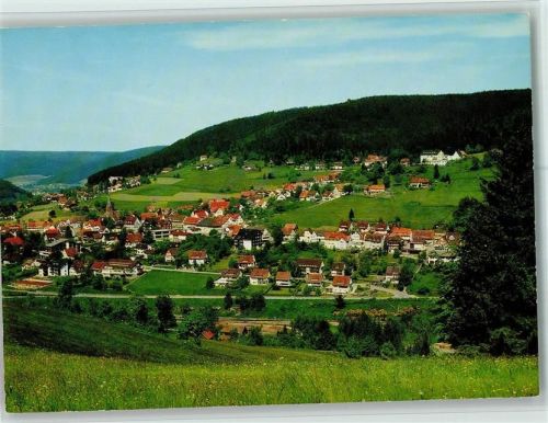 Baiersbronn Ortsansicht
