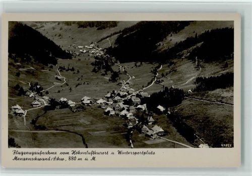 Menzenschwand Luftaufnahme Gesamtansicht