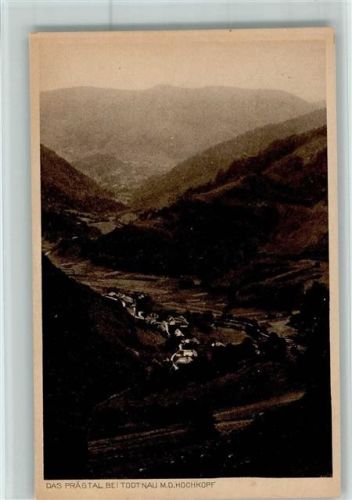 79674 W7868 Todtnau - Blick ins Prägtal mit dem Hochkopf