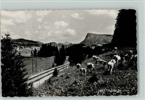 Vallée de Joux