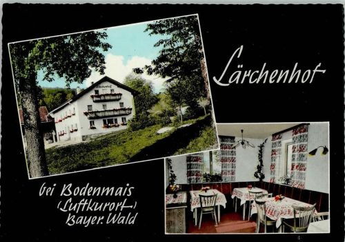 Bodenmais Lärchenhof Innenaufnahme Gastraum 2-Bildaufnahme