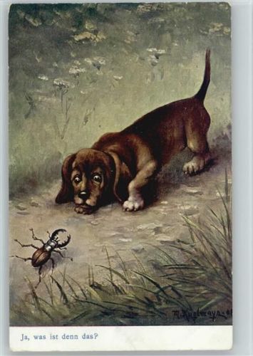 Was ist das? Borkenkäfer u. Dackel 1909 AK Verlag CA Serie No 4023