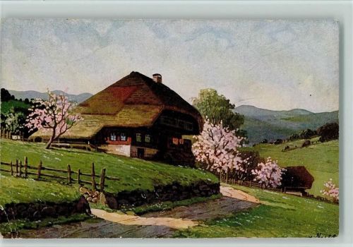 Schwarzwaldhaus , Moos Serie V Nr. 11 AK