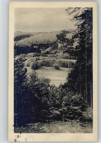 Berlebeck 1922 AK Blick vom Sternberg ins Berlebecker Tal