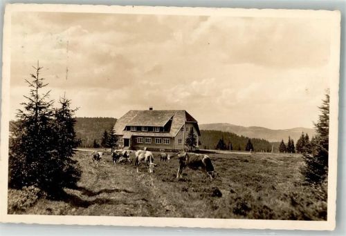 Todtnauberg Gasthaus Stübenwiesen