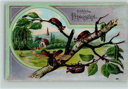 1912 Pfingsten - Maikäfer auf einem Ast, Kirche AK