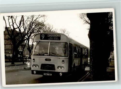 Privatfoto - ca 1960 Bus im Nahverkehr