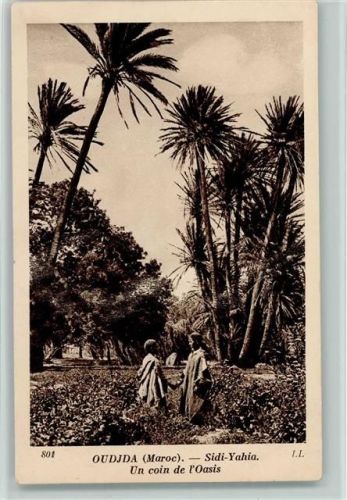 Sidi-Yahia Un coin de l'Oasis