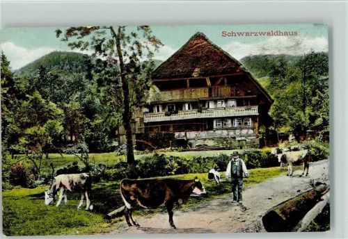 Kühe Bauer Schwarzwaldhaus