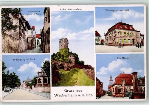 Wachenheim Herrenhaus Ruine Wachtenburg Winzergenossenschaft Südeingang Alte Münze
